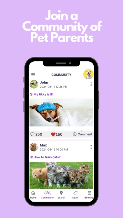 FareVet - Pet Cost Comparison screenshot-3