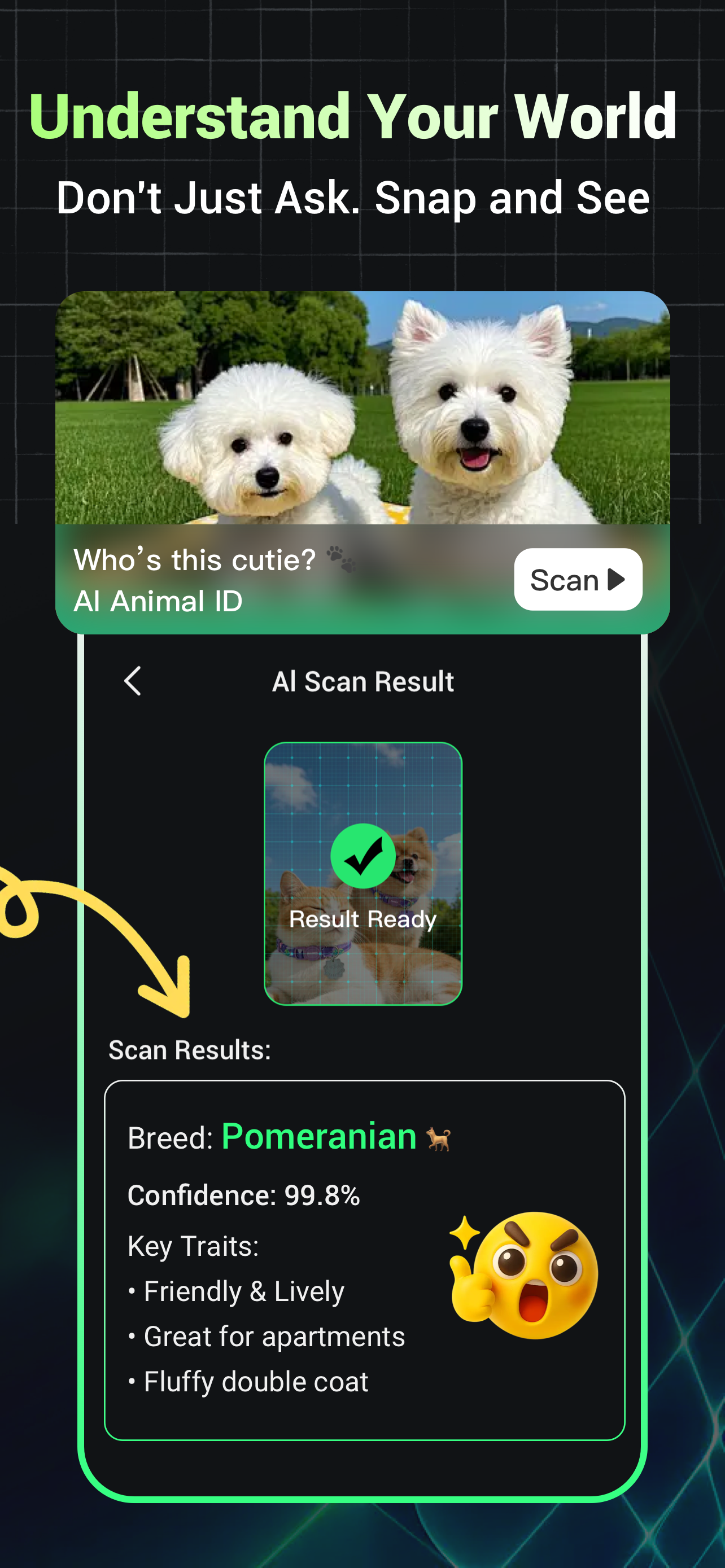 RealBot - AI ChatBot Assistant