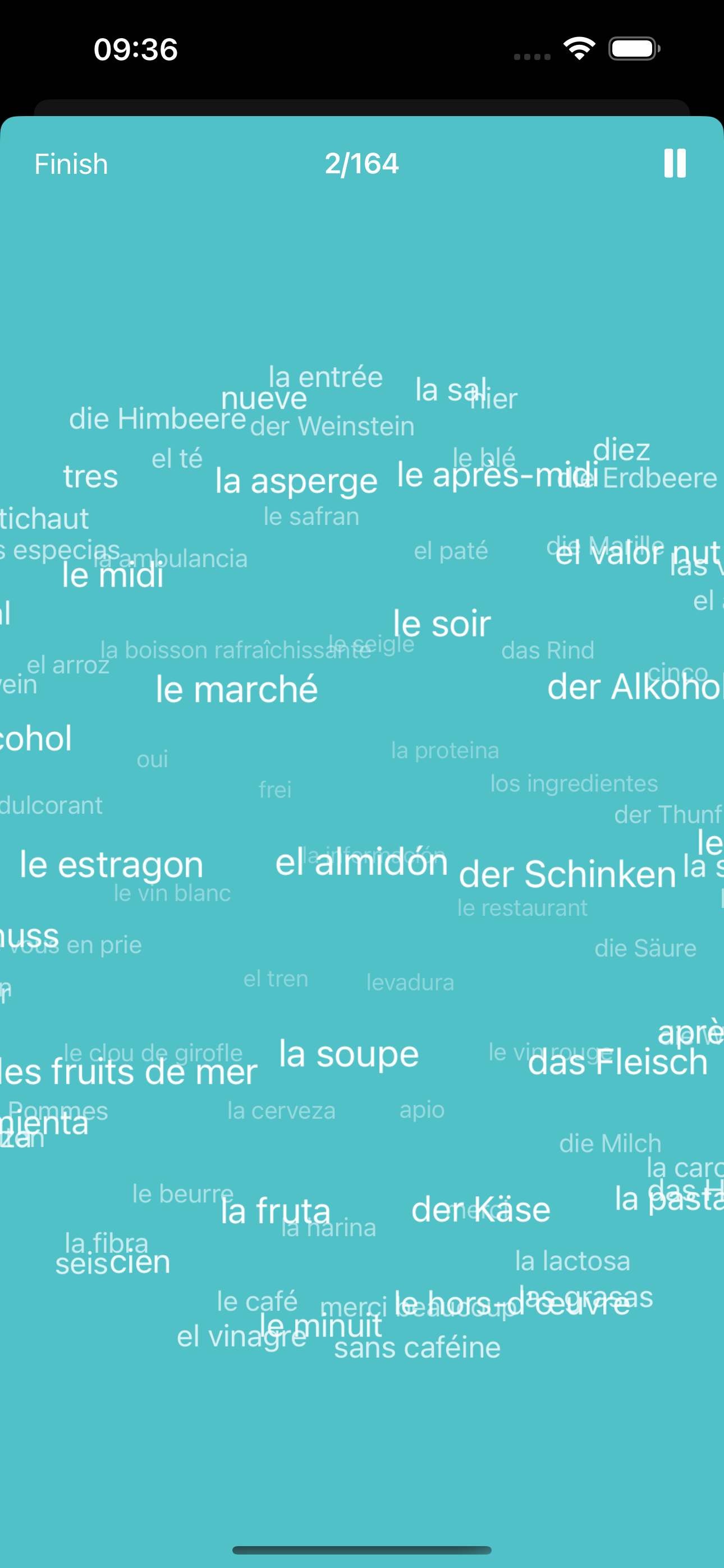 Vocab Tool