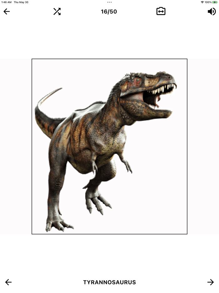 Dinosaur Flashcard Quiz