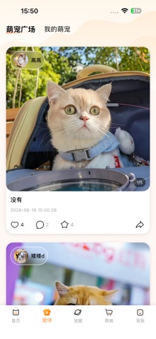 TaTaPaws screenshot