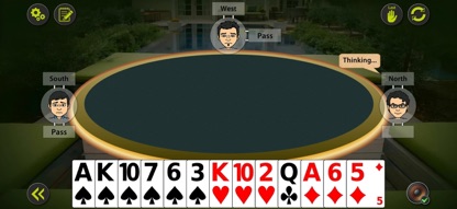 Auction Bridge & IB Card Game screenshot 6