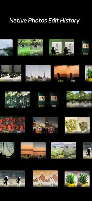 RealPreset: Photo Color Preset screenshot 2