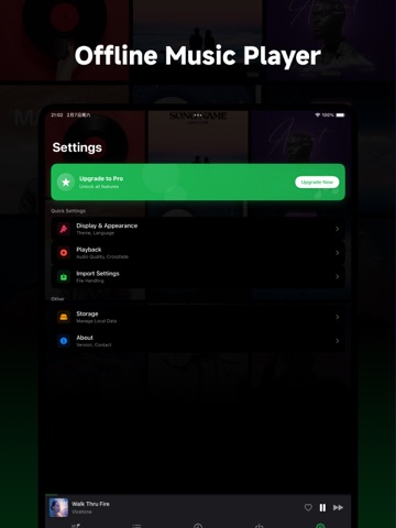 Offline Music Player App iPad screenshot