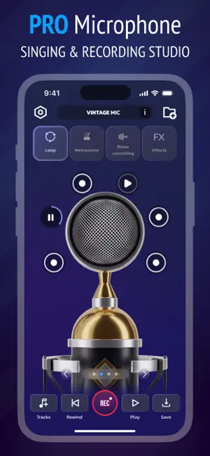 Pro Microphone: Voice Record screenshot 1