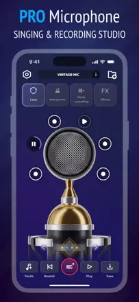 Pro Microphone: Screenshot 1 von 8