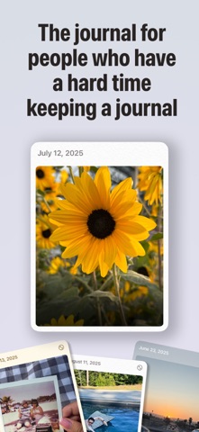 Meanwhile: daily micro journal screenshot