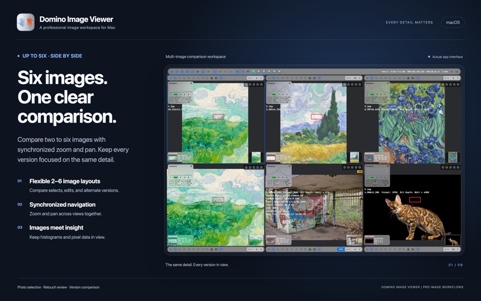 #2. Domino Image Viewer (macOS) Av: 思奇 徐