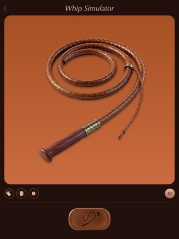 Whip Sound - Whip Simulator iPad screenshot
