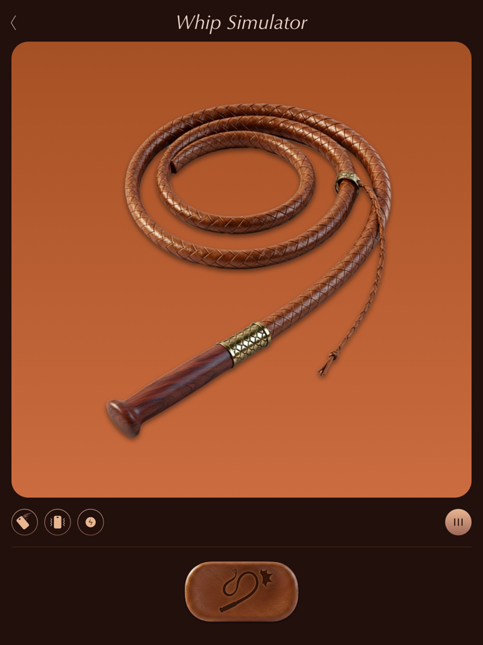 Pocket Whip - Whip Simulator