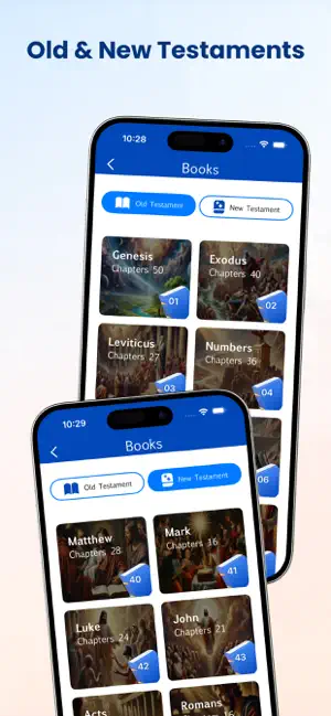 New International Version screenshot 2