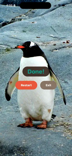 Eureka! Timer: Picture Reveal screenshot 2