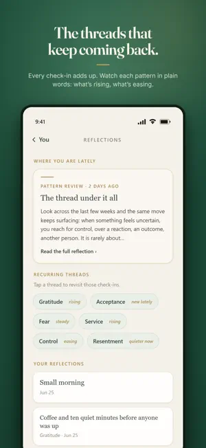 Work the Steps: Recovery screenshot 3