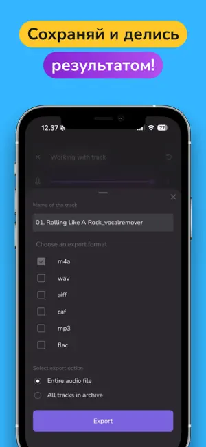 Убрать голос из песни, музыку iPhone screenshot 6