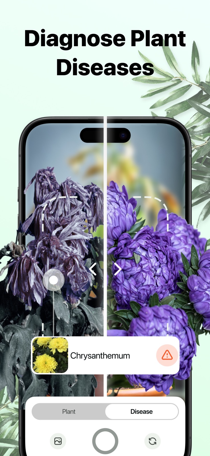 Plant Expert AI iphone screenshot 2
