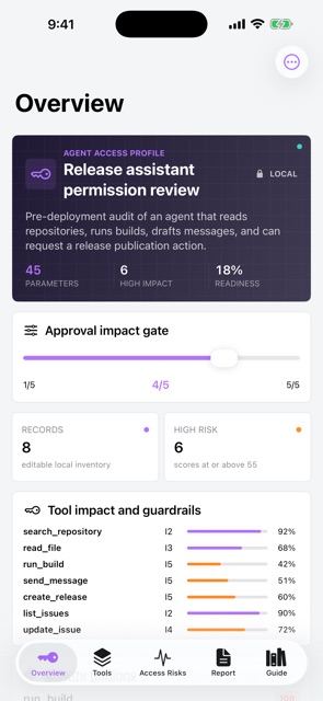 Toolwarrant: MCP Audit screenshot 1