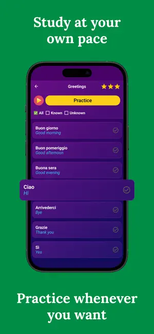Learn Italian (Beginners) screenshot 3