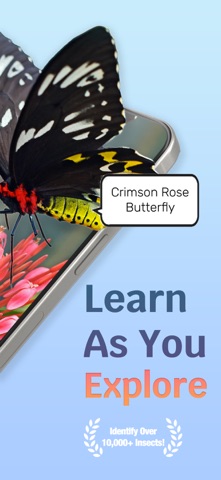 Spider Identifier - Bee Finder screenshot