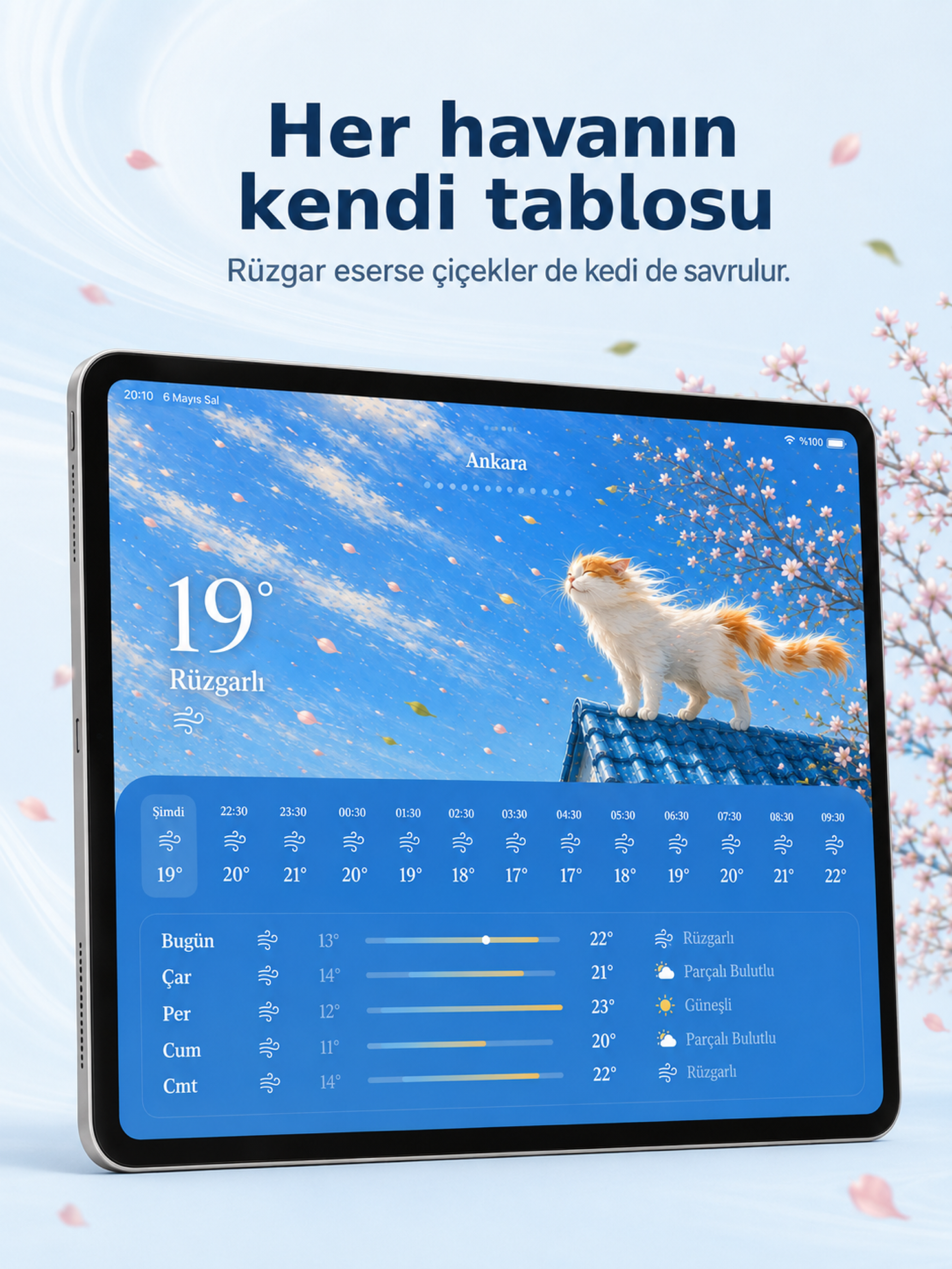 Hava Durumu: Termometre screenshot 6