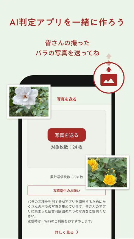 旧古河バラコレ screenshot 5 of 5