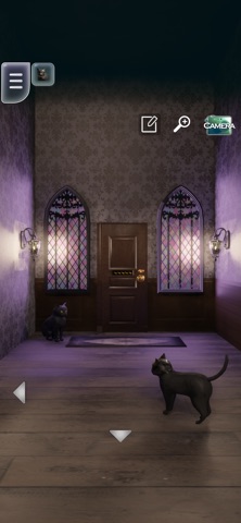 Black Cat Halloween: Escape screenshot