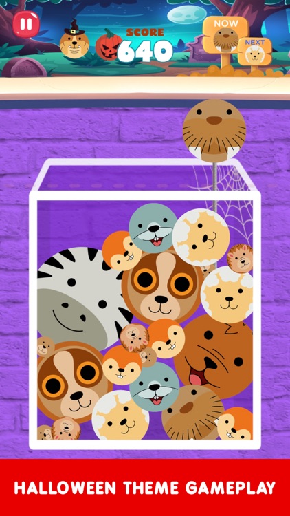 Animal Drop Merge Games