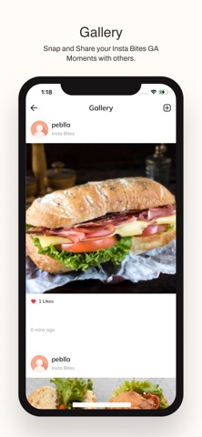 Insta Bites GA screenshot