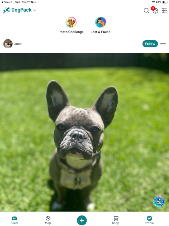 Screenshot #4 pour DogPack : Parcs pour chiens