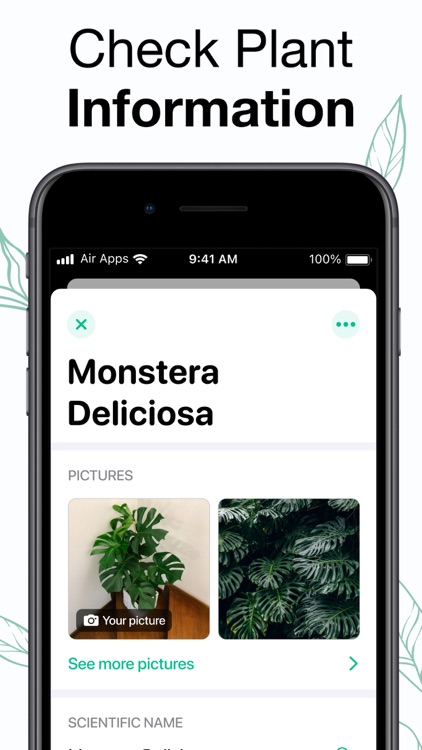 Plants Air - Plant Identifier