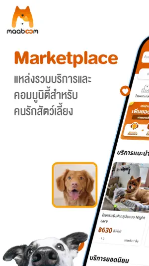 maaboom screenshot 1