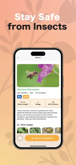 Insect ID: Bug ID Bug Finder screenshot 3