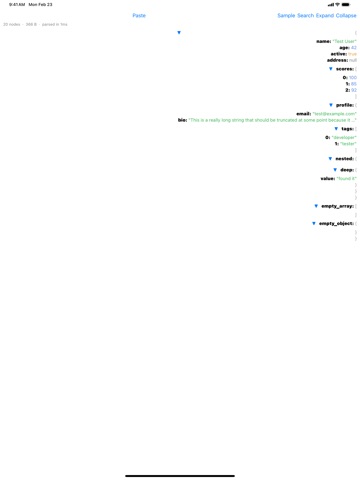Pry JSON Viewer ipad screenshot 4
