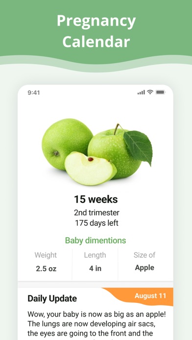 Pregnancy App. Screenshot