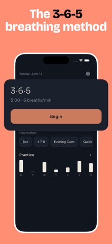 Coherence Cardiaque - Cadyne iPhone screenshot