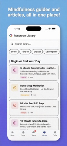 STEDTI screenshot