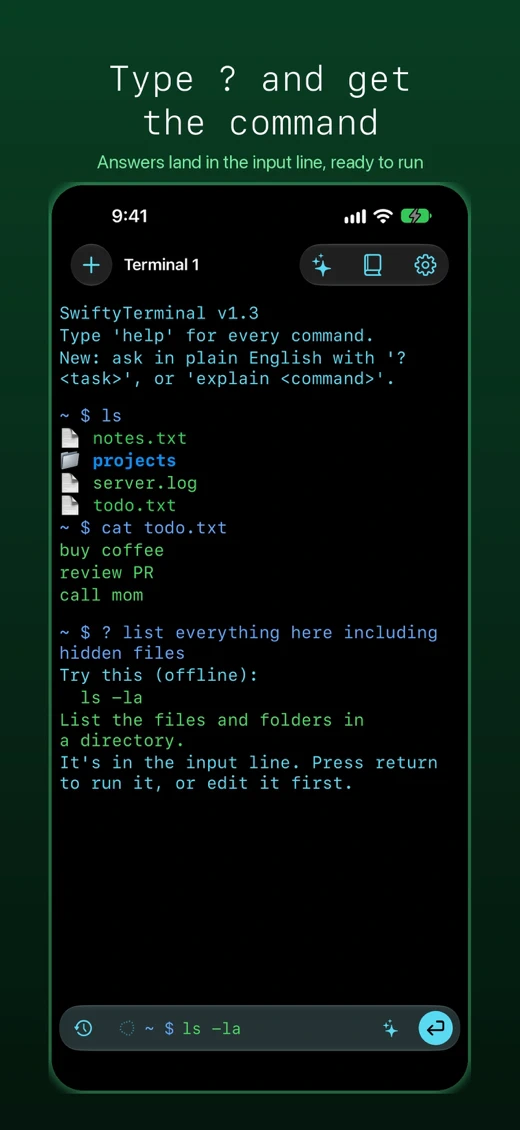 SwiftyTerminal: Terminal Shell screenshot 2