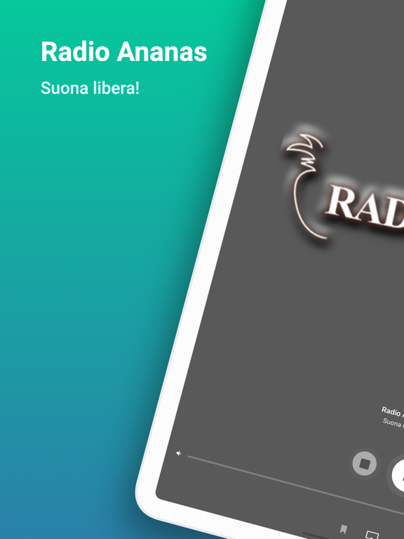 Screenshot #4 pour Radio Ananas