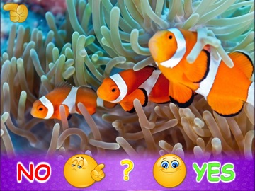 Animal picture games for kids iPad screenshot