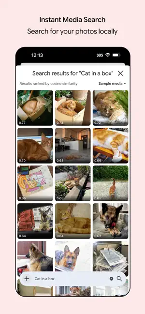 Google AI Edge Gallery screenshot 2