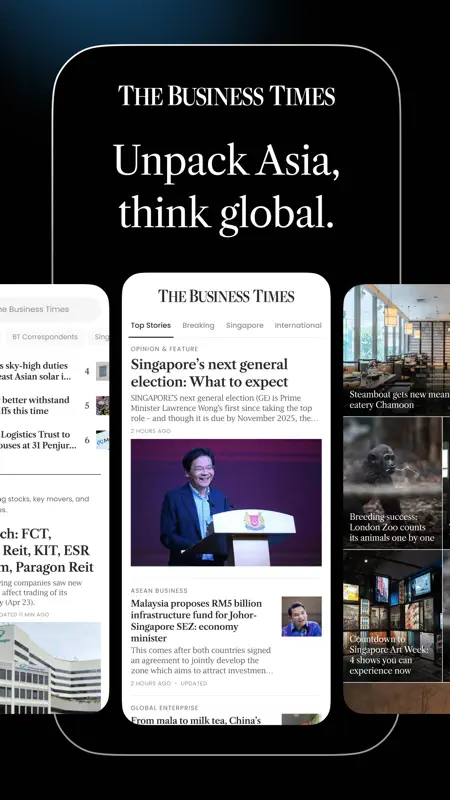 The Business Times screenshot 1 of 10