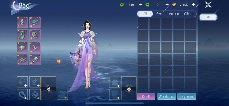 Immortal Heritage screenshot 10