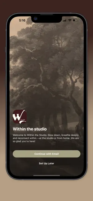 Within The Studio screenshot 1