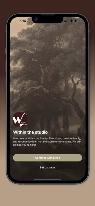 Within The Studio Screenshot 1 of 4