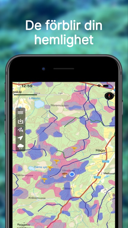 Kantarellappen screenshot-6