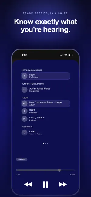 Forte: Lossless Music Player screenshot 4