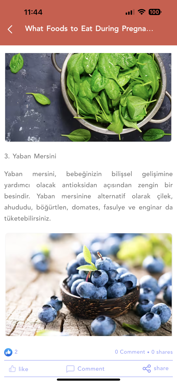 Mutlu Anne - Gebelik Takip 