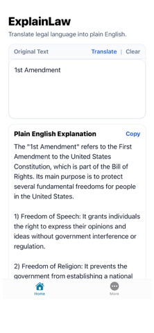 ExplainLaw screenshot