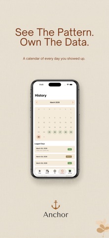 Anchor: Discipline Framework screenshot