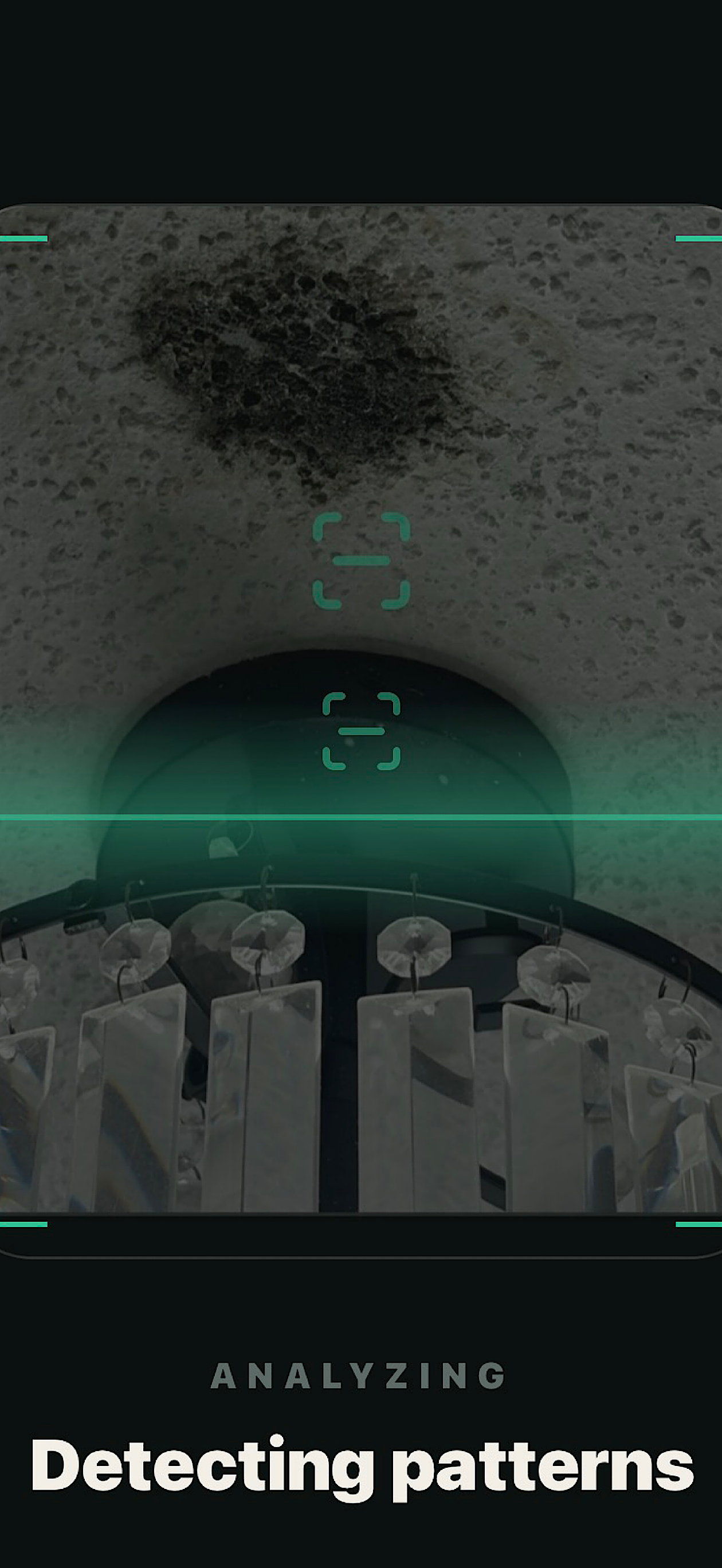 Mold Detect screenshot 6