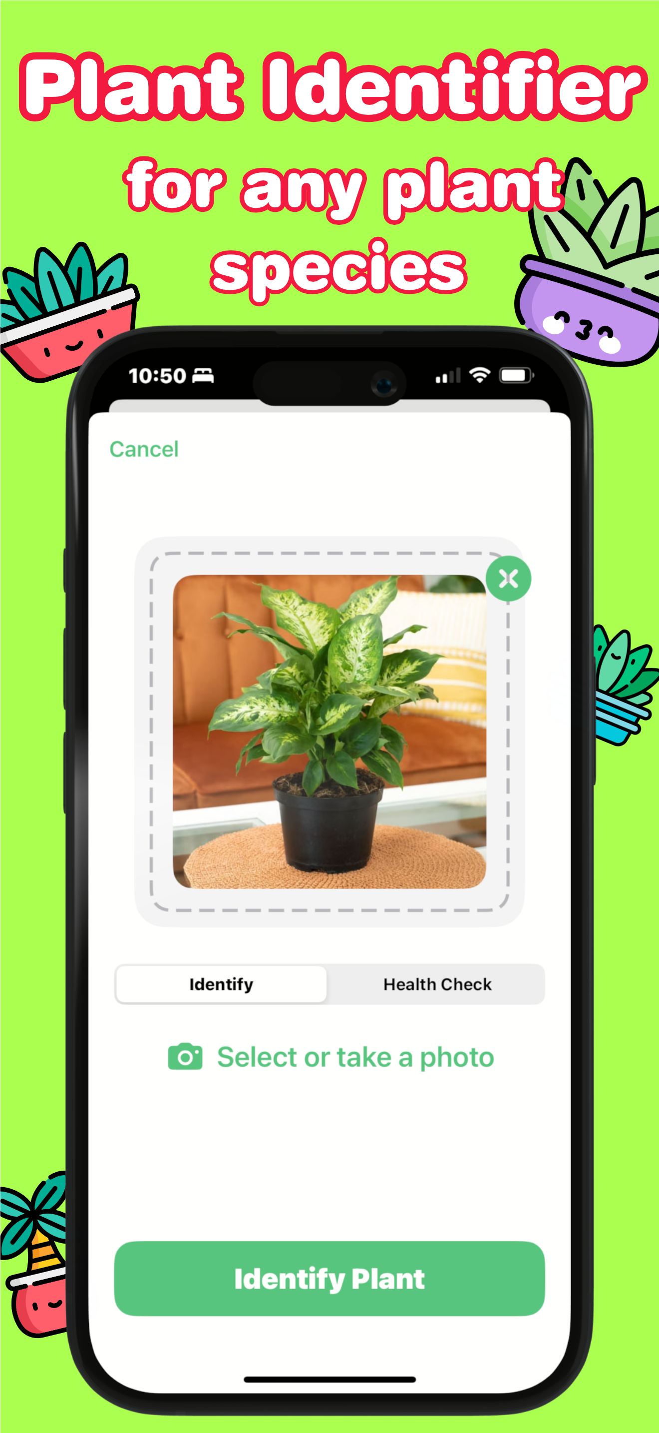 Plant Identifier: Species ID